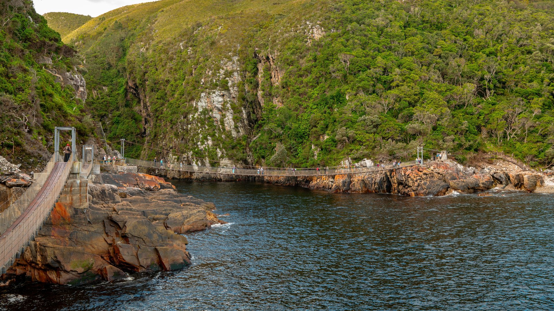 Tsitsikamma Nationaal Park - Tuinroute | Matoke Tours